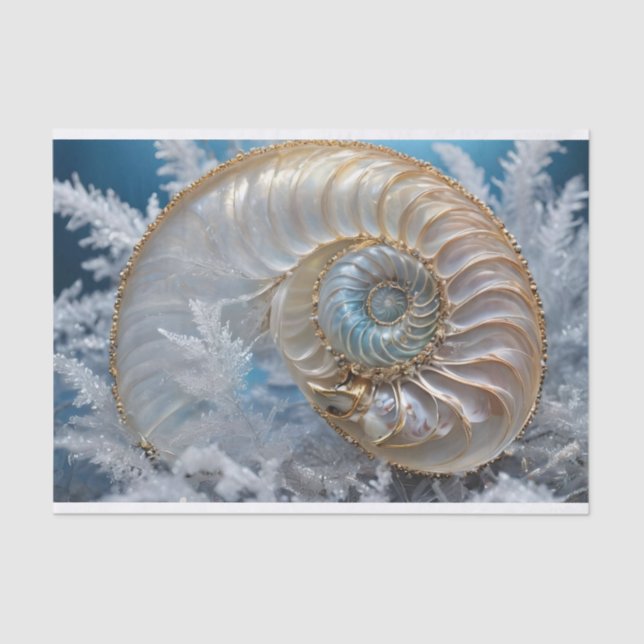 Nautilus Shell Inside Decoupage Tissue Paper (Front)