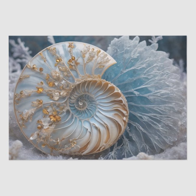 Nautilus Shell Inside Decoupage Tissue Paper (Front)