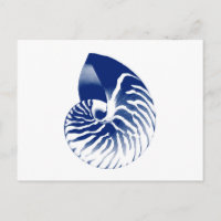 Nautilus shell - navy blue and white