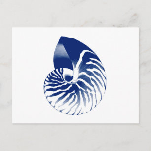 Nautilus shell - navy blue and white postcard