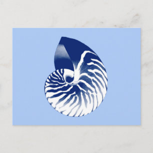 Nautilus shell - navy, white & light blue postcard