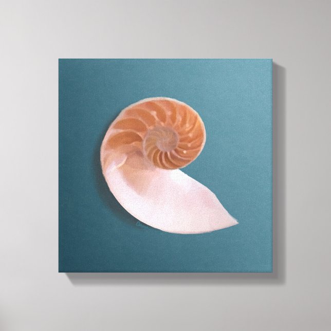 Nautilus Shell on Ocean Blue Canvas Print (Front)