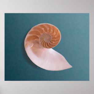 Nautilus Shell on Ocean Blue Fine Art Print