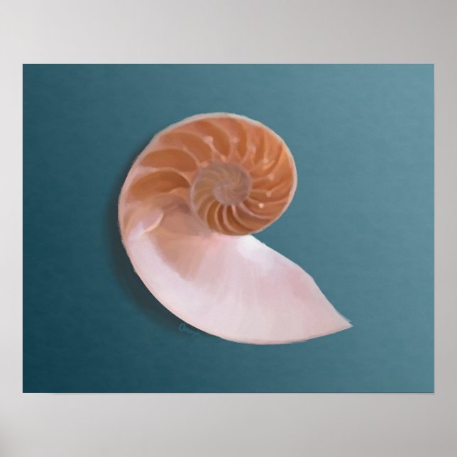 Nautilus Shell on Ocean Blue Fine Art Print (Front)