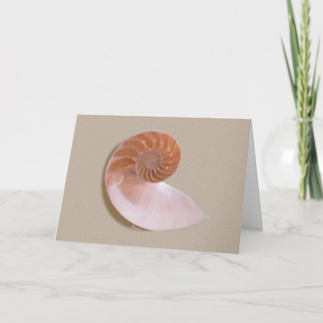 Nautilus Shell on Sand Greeting Card (Front)