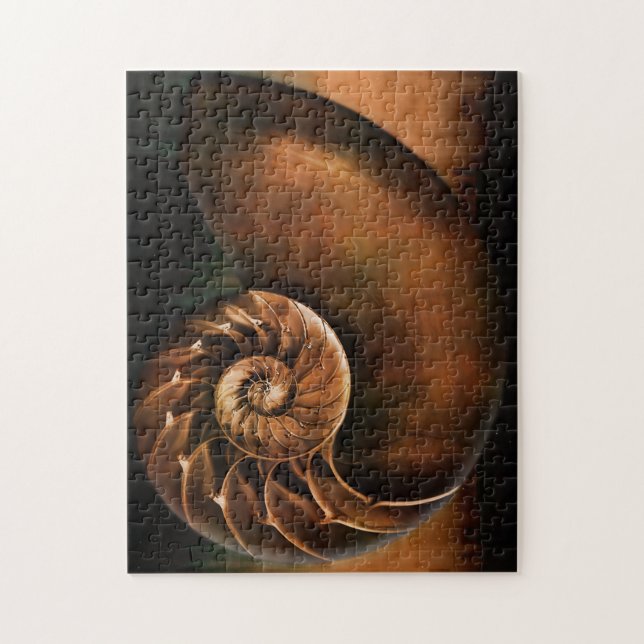 Nautilus Shell Puzzle (Vertical)