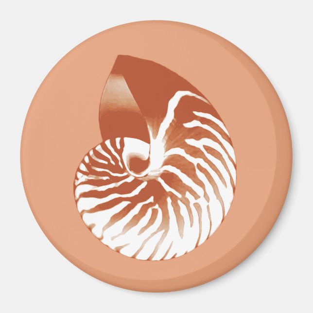 Nautilus shell - terracotta and white magnet (Front)