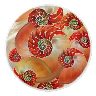 Nautilus Shells Ceramic Knob