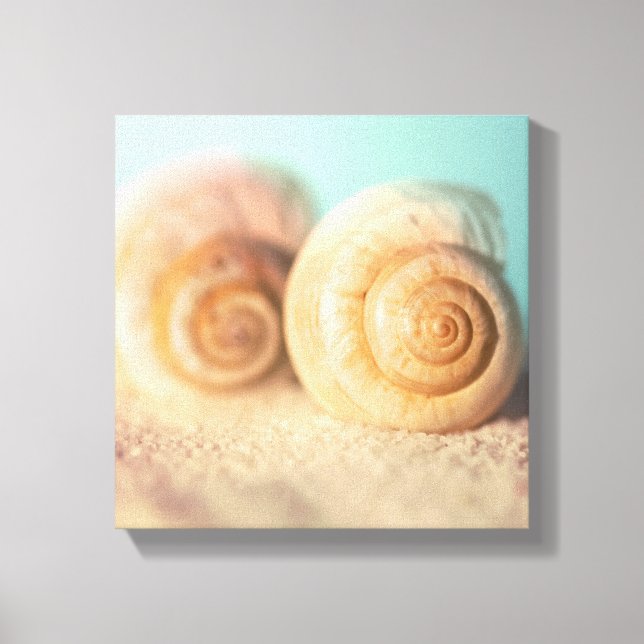 Nautilus Shells On Beach Canvas Print (Front)