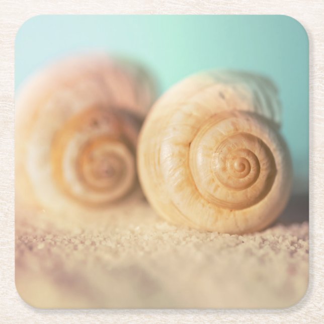 Nautilus Shells On Beach Square Paper Coaster (Front)