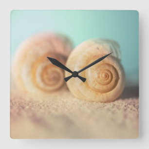 Nautilus Shells On Beach Square Wall Clock