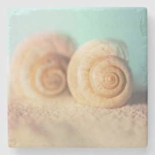 Nautilus Shells On Beach Stone Coaster