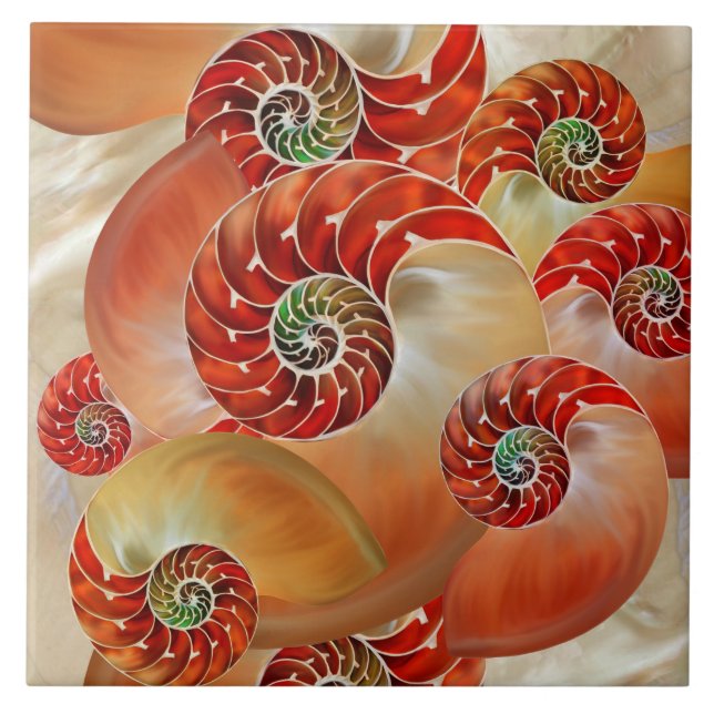 Nautilus Shells Tile (Front)