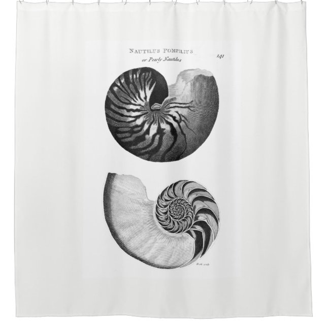 Nautilus Shower Curtain (Front)