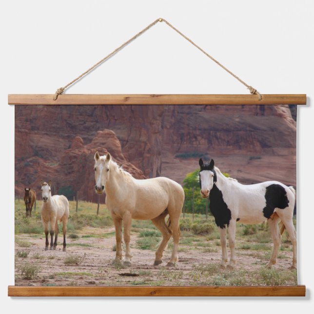 Navajo Horses Run Free on the Canyon Floor Hanging Tapestry (Front)