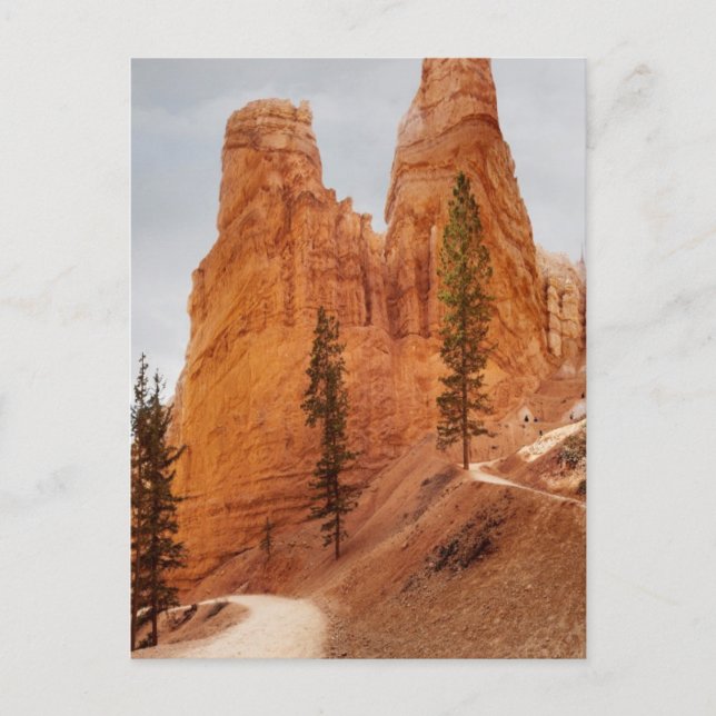 Navajo Loop Trail, Bryce Canyon Postcard (Front)