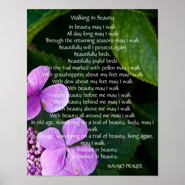 Navajo Prayer Walk in Beauty Poster (Front)