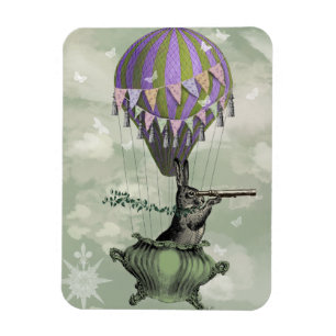 Navigating Rabbit Magnet