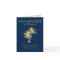 Navy Blue Gold Cancun Mexico Wedding Passport