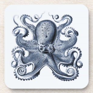 Navy Blue Octopus illustration by Ernst Haeckel Coaster