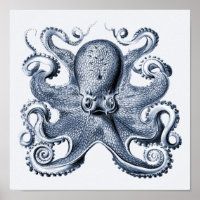 Navy Blue Octopus illustration by Ernst Haeckel