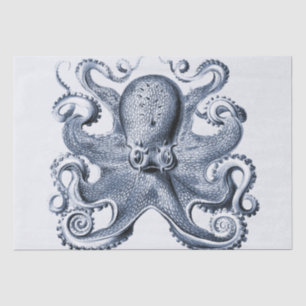 Navy Blue Octopus illustration by Ernst Haeckel Tissue Paper