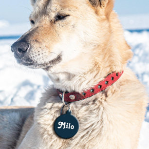 Navy Blue Retro Pet Tag