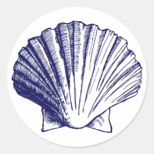 Navy Blue Sea Shell Sticker