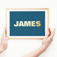 NAVY Modern Bold | EDITABLE TEXT GOLD