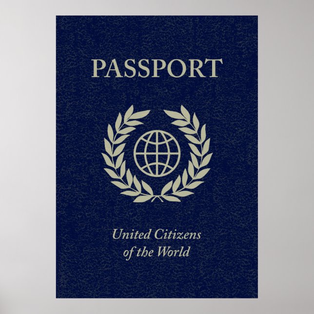 navy passport poster (Front)