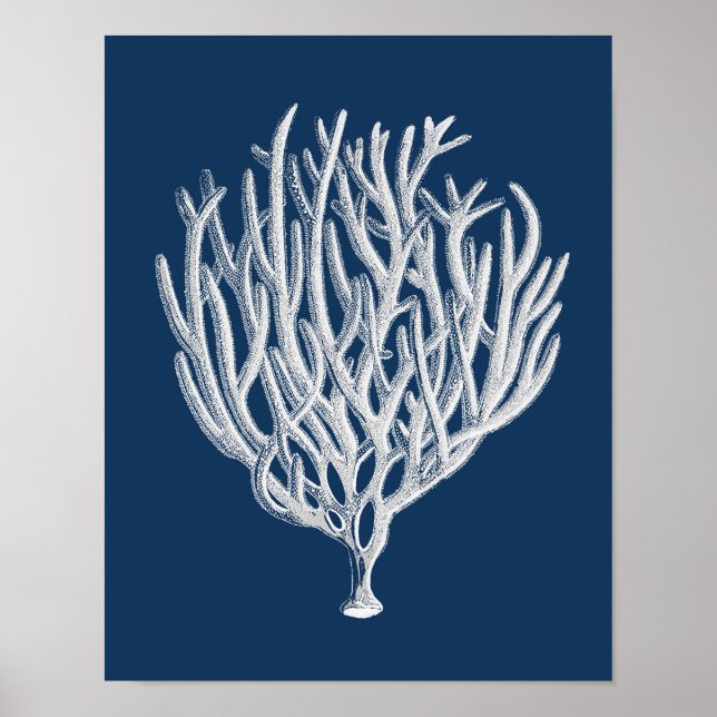 Navy Sea Coral #1 Beach Decor Wall Art (Front)