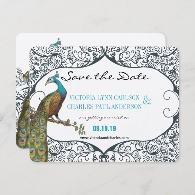 Navy Whimsical Peacock Love Bird Save the Date Invitation (Front/Back)