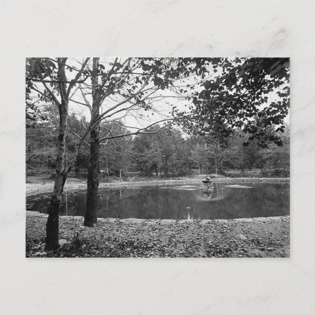 Nay Aug Park Scranton Pa. Postcard (Front)