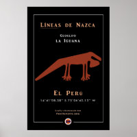 Nazca Geoglyphs-Iguana