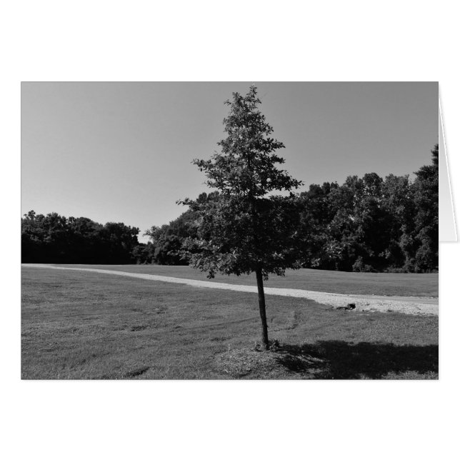 NC / Noir, card (Front Horizontal)