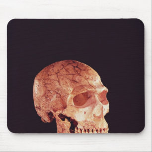 Neanderthal Skull, discovered on Mt Carmel Mouse Pad