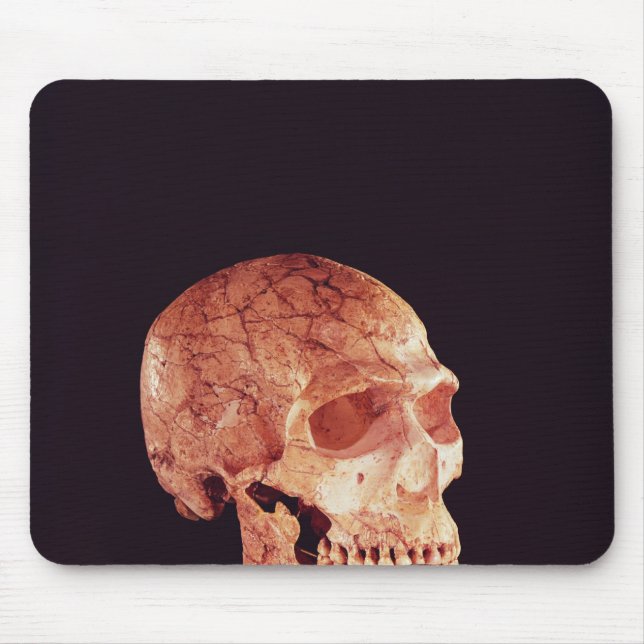 Neanderthal Skull, discovered on Mt Carmel Mouse Pad (Front)
