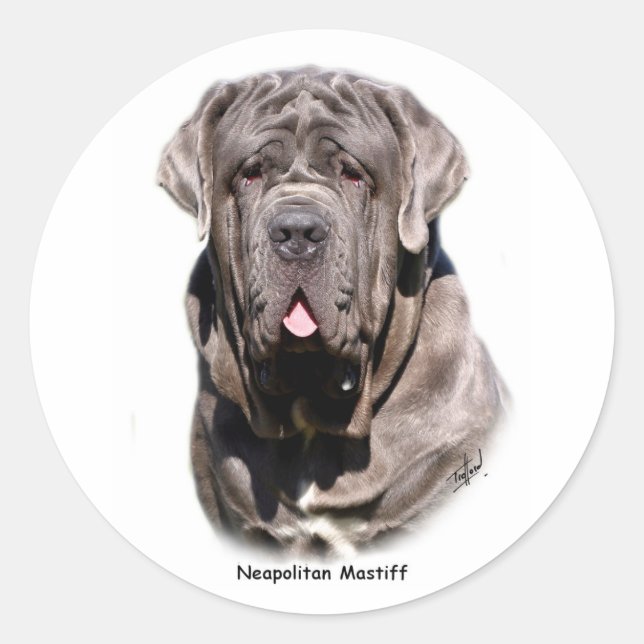 Neapolitan Mastiff Classic Round Sticker (Front)