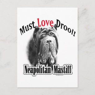 Neapolitan Mastiff Must Love Drool Postcard