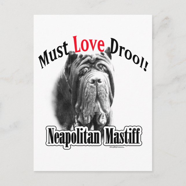 Neapolitan Mastiff Must Love Drool Postcard (Front)