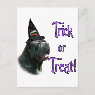 Neapolitan Mastiff Trick Postcard