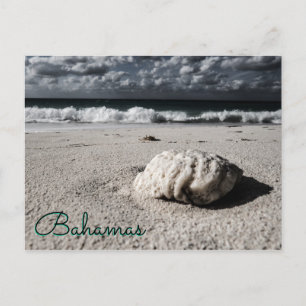 Near Black&White Custom Destination Postcard