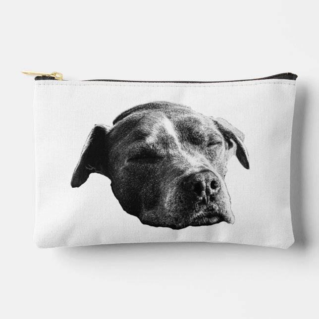 Neat Shade Pouch (Front)