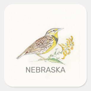 Nebraska bird and flower square sticker