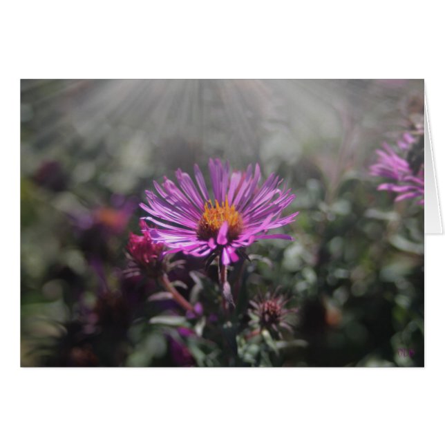 Nebraska City October 2015 (Front Horizontal)