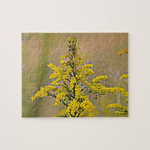 Nebraska Goldenrod Jigsaw Puzzle