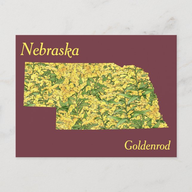 Nebraska State Flower Collage Map Postcard (Front)