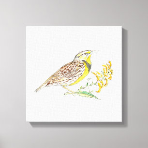 Nebraska Stretched Canvas Print