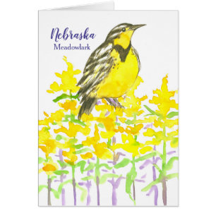Nebraska Western Meadowlark Goldenrod Blank