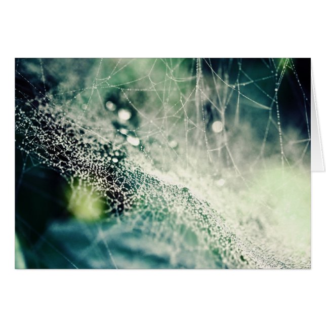 Nebula (Front Horizontal)